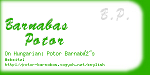 barnabas potor business card